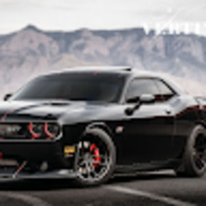 Meet your Posher, Tami